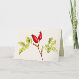 Tarjeta Pintura botánica en acuarela de frutos de rosa mos