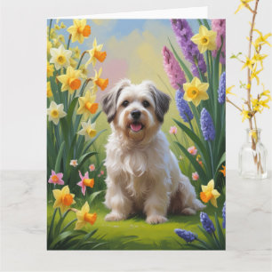 Tarjeta Pintura de flores de primavera del perro Havanés