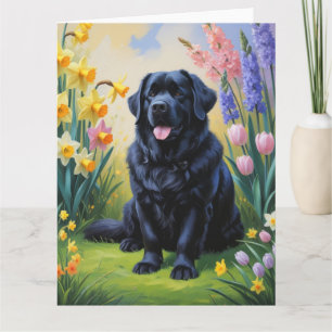 Tarjeta Pintura de flores de primavera del perro Terranova