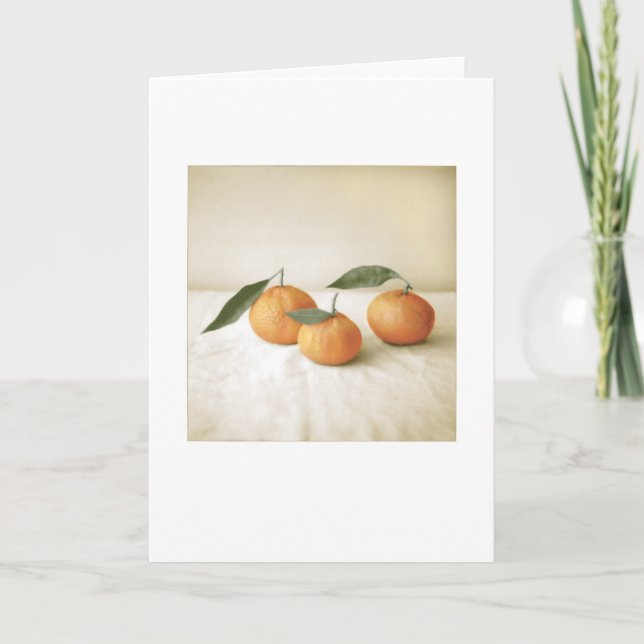 Tarjeta Pintura fotográfica del Naranja Satsuma en blanco (Anverso)