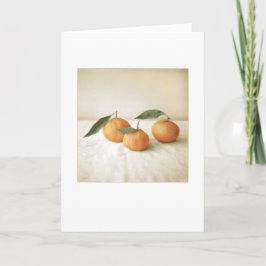 Tarjeta Pintura fotográfica del Naranja Satsuma en blanco
