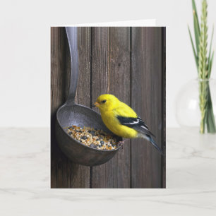 Tarjeta Pinzón Amarillo de Cumpleaños en Cuchara Oxidada