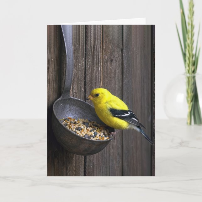 Tarjeta Pinzón Amarillo de Cumpleaños en Cuchara Oxidada (Anverso)