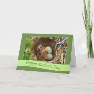 Tarjeta Pinzón feliz del bebé del día de madre