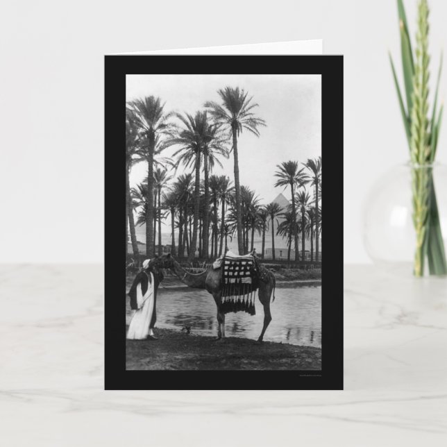 Tarjeta Pirámide Oasis View 1902 (Anverso)