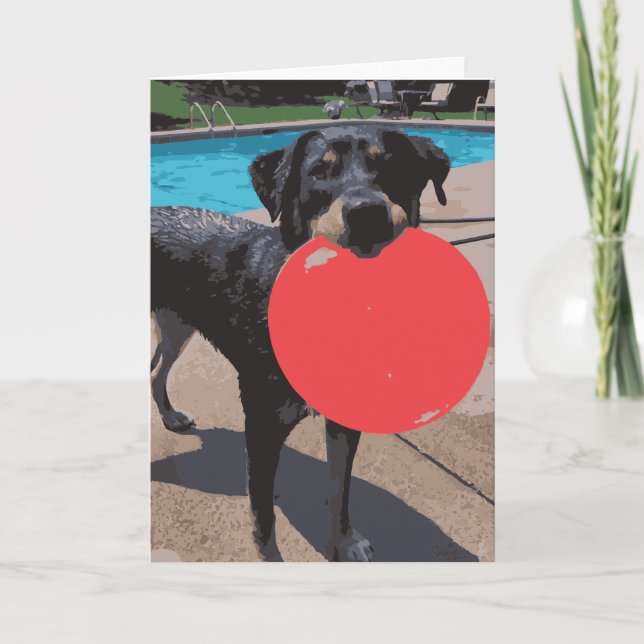Tarjeta Piscina De Frisbee Con Perro (Anverso)