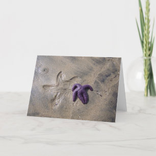 Tarjeta Pistas Starfish