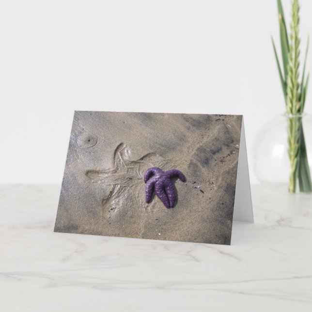 Tarjeta Pistas Starfish (Anverso)