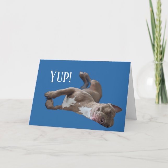 Tarjeta Pit Bull Divertido (Anverso)
