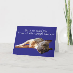 Tarjeta Pit Bull Durmiendo