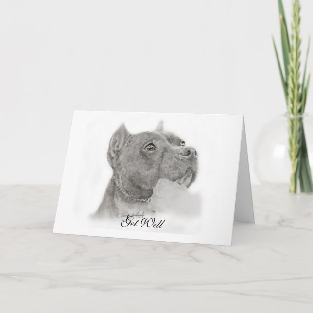 Tarjeta Pit Bull Get Well Card (Anverso)