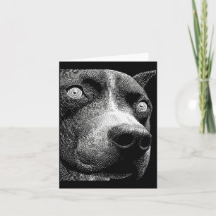 Tarjeta Pit Bull Hipnótico Ojos Raros Weirdcore Espeluznan