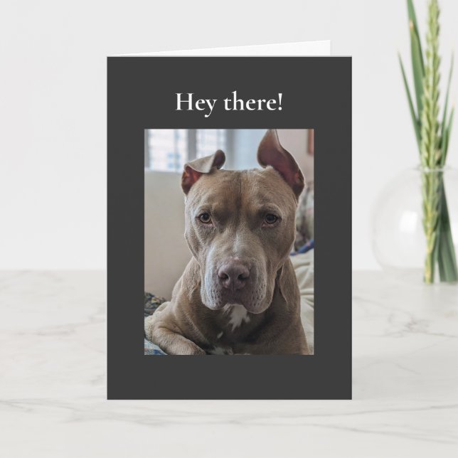 Tarjeta Pit Bull Hola (Anverso)