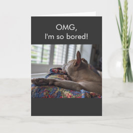 Tarjeta Pit Bull OMG estoy tan aburrido