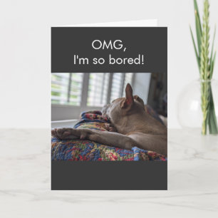 Tarjeta Pit Bull OMG estoy tan aburrido