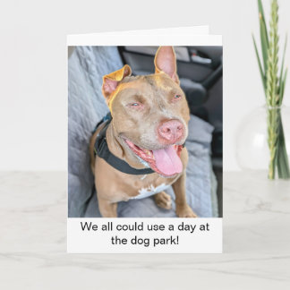 Tarjeta Pit Bull Sonriente Tómate con Calma