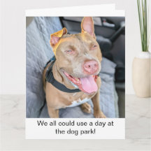 Pit Bull Sonriente Tómate las Cosas con Calma