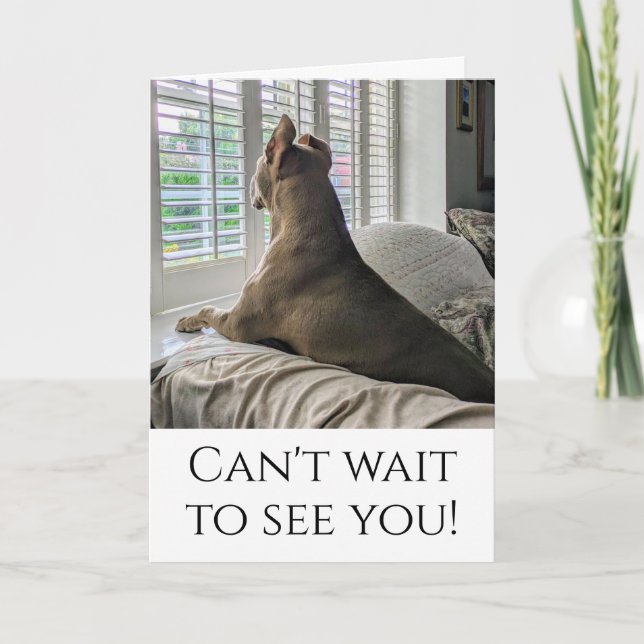 Tarjeta Pit Bull te va a ver (Anverso)