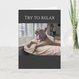 Tarjeta Pit Bull trata de relajarse, que te mejores