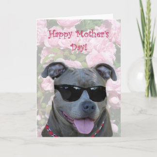 Tarjeta Pitbol azul feliz Día de la Madre con gafas
