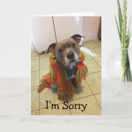 Tarjeta Pitbull Doghouse Lo siento.
