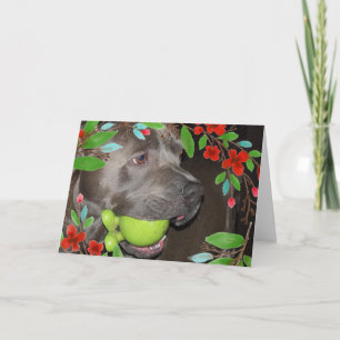 Tarjeta Pitbull Terrier Adorable con Marco de Flor Roja
