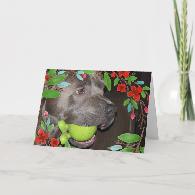 Tarjeta Pitbull Terrier Adorable con Marco de Flor Roja (Anverso)