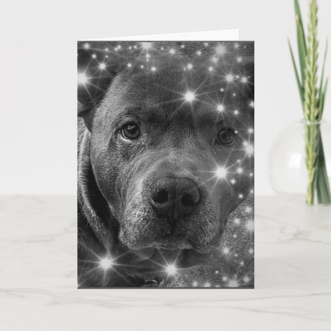 Tarjeta Pitbull Terrier Gris con Brillo Amante de los Perr (Anverso)