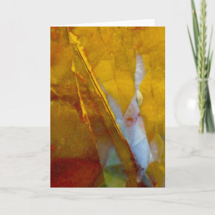Tarjeta Piuto jasper