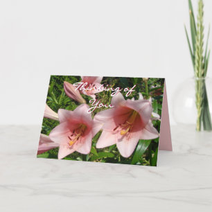 Tarjeta Pk Trumpet Lily #3- personalizar en cualquier ocas
