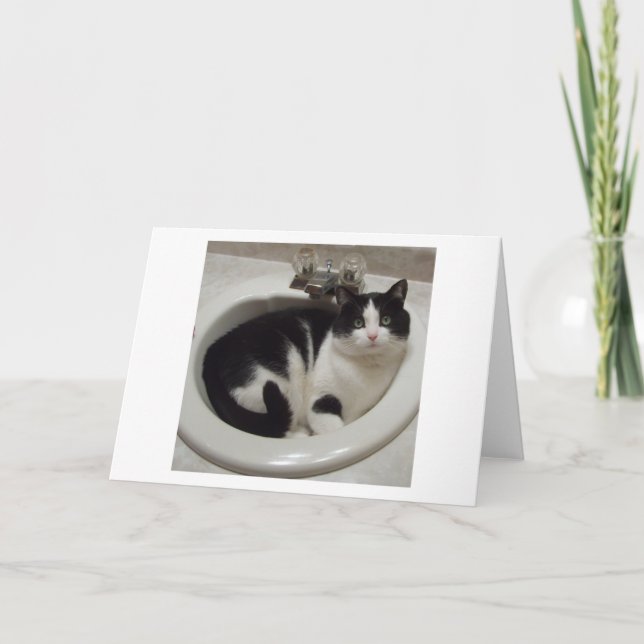Tarjeta Placer de los amantes del gato (Anverso)
