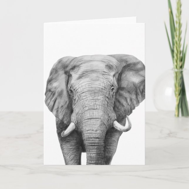 Tarjeta Plan de respaldo IV (Anverso)