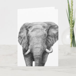 Tarjeta Plan de respaldo IV