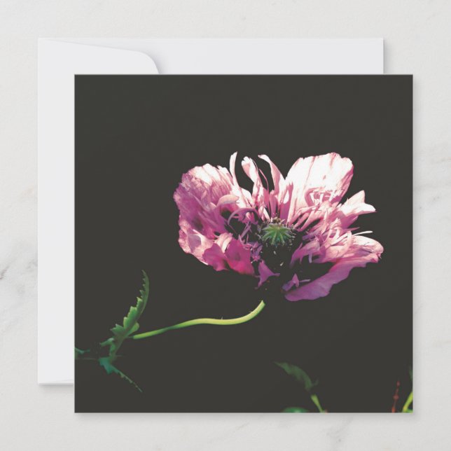 Tarjeta plana (Anverso)