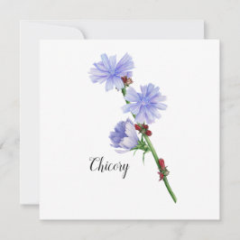 Tarjeta Plana acuarela de flores de achicoria