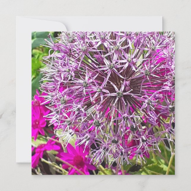 Tarjeta plana Allium & Summer Flowers (Anverso)