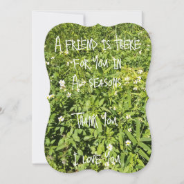 Tarjeta plana Amigo para todas las estaciones