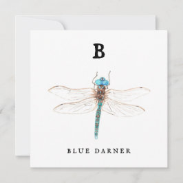 Tarjeta plana "B" Blue Darner