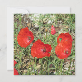 Tarjeta plana Corfu Red Poppies