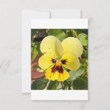Tarjeta plana de agradecimiento con foto de flor d