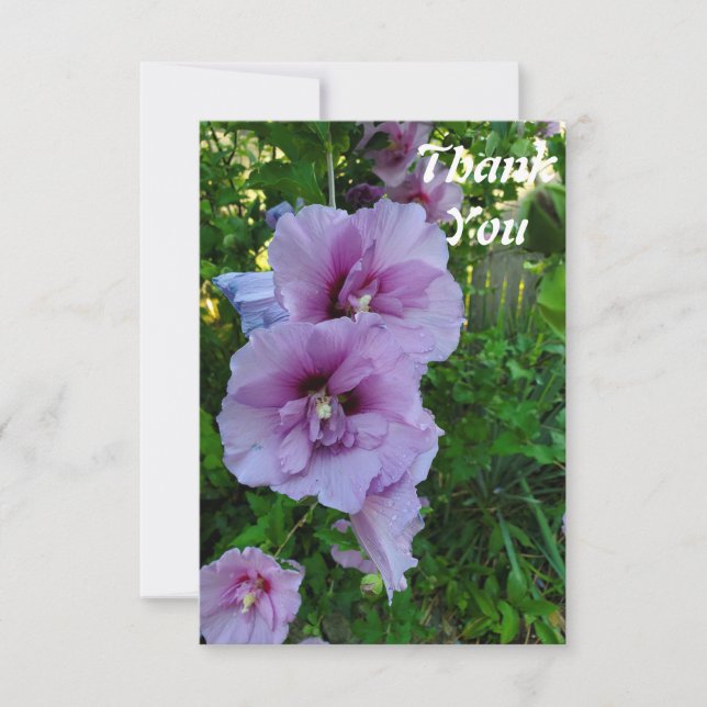 Tarjeta plana de agradecimiento de flor de hibisco (Anverso)