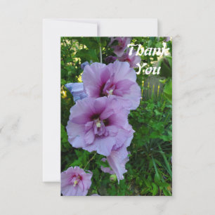 Tarjeta plana de agradecimiento de flor de hibisco