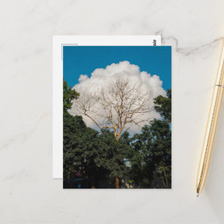 Tarjeta plana de árbol de nube