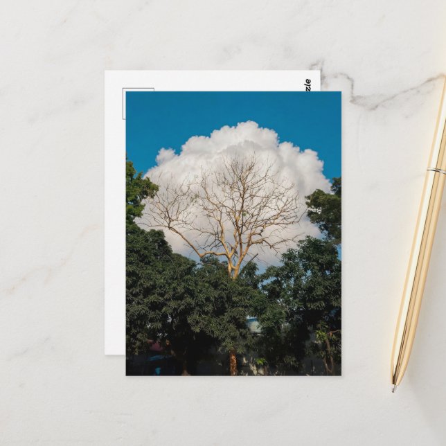 Tarjeta plana de árbol de nube (Anverso/Reverso In Situ)