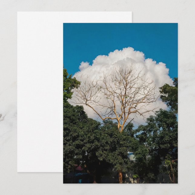 Tarjeta plana de árbol de nube (Anverso / Reverso)