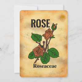 Tarjeta plana de arte de línea estilo papel enveje