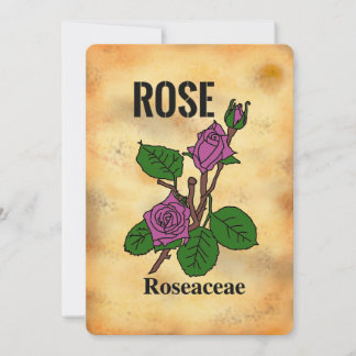 Tarjeta plana de arte de línea estilo papel enveje