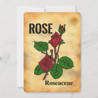 Tarjeta plana de arte de línea estilo papel enveje