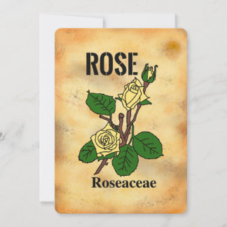Tarjeta plana de arte de línea estilo papel enveje