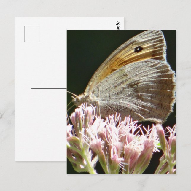 tarjeta plana de bonito de mariposa grande (Anverso / Reverso)